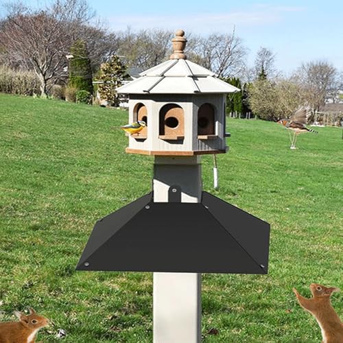 Squirrel guard pour mangeoire oiseaux extérieur et dissuasif écureuil robuste
