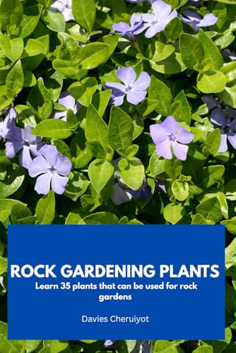 ROCK GARDENING PLANTS: Learn 35 plants that can be used