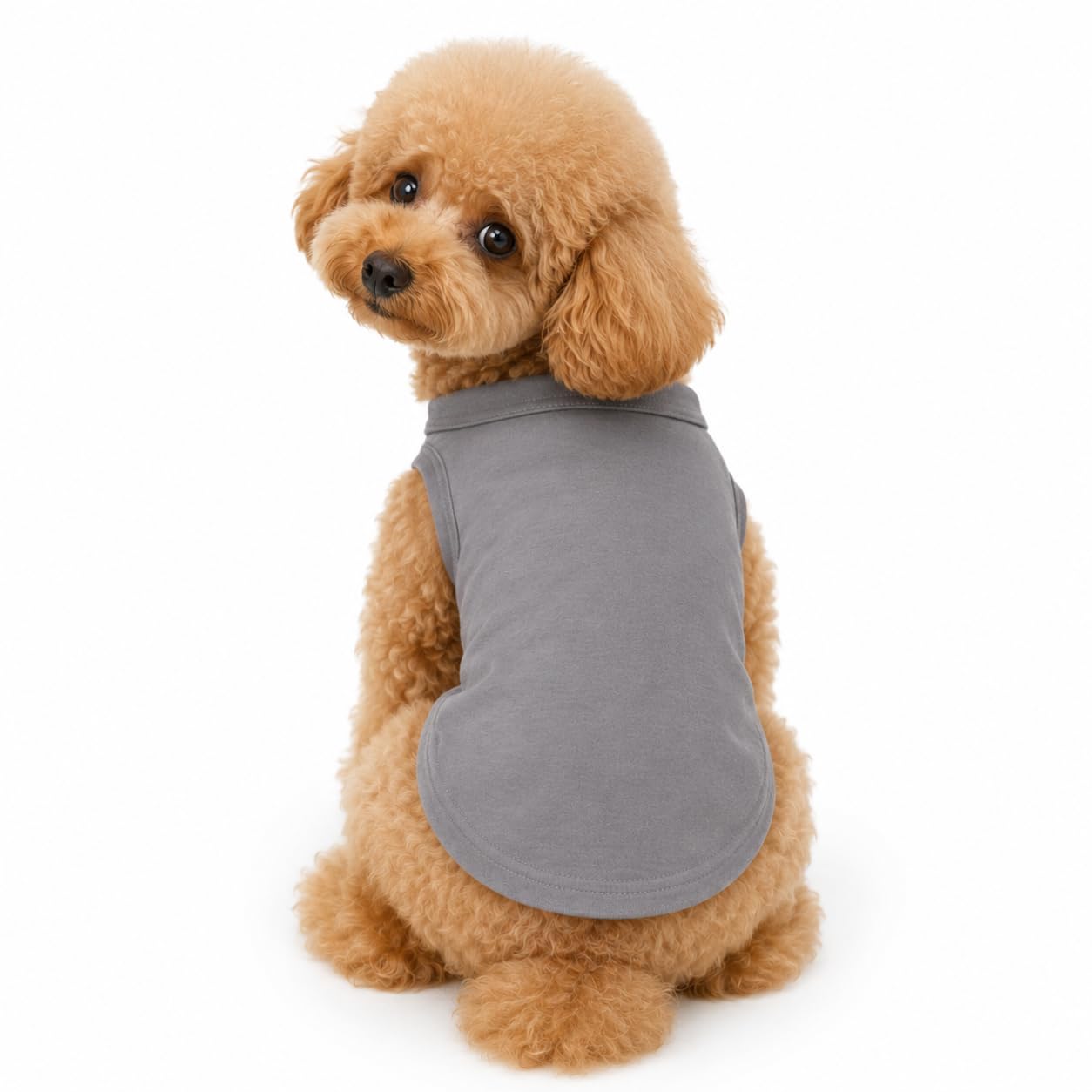 Petitebelle Plain Single Color Puppy Dog Shirt (Grey, XXX-Large)