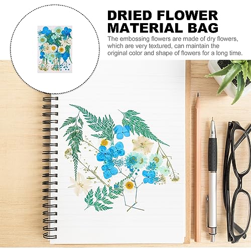 Operitacx 35 Peças De Flores Secas Prensadas Flores Secas Reais Para Resina Pequenas Flores Secas Pa