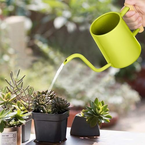 Image of Watering Can Indoor Plants, 35 oz /1000 ml Metal Stainless Steel Watering Can Pot with Long Spout for Indoor House Plants Bonsai Outdoor Garden Flower Decorative (Bright Green)