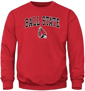 Barnesmith Spirit Logo, Adult Unisex, Crewneck Sweatshirt for College