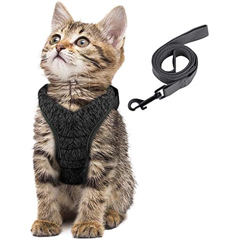 Arnés para Gatos Simpeak con Correa a Prueba de Escape Cover