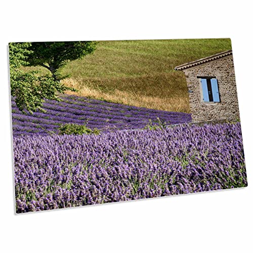 3dRose France Provence Lavanda Desk Pad 23x16 pulgadas miniatura 1