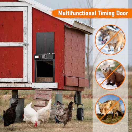 Rsaoty Automatische Hühnerklappe, Upgrade-Größe Automatische Hühnerklappe Batterie, Aluminiumlegierung Hühnertür mit Display, Intelligenter Einklemmschutz,Timer, Manuelle,für Sichere Hühnerhaltung