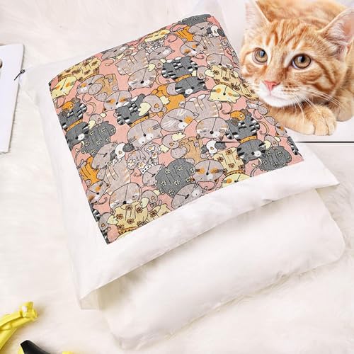 Abri de nuit pour chat avec doublure thermique pour l'hiver