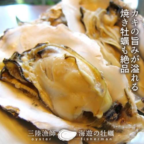 県内配達致します！牡蠣を焼くにもOK！商売繁盛間違えなし。 大阪で牡蠣を食べるなら二色の浜！ ｜大阪府営二色の浜公園BLUEPARK