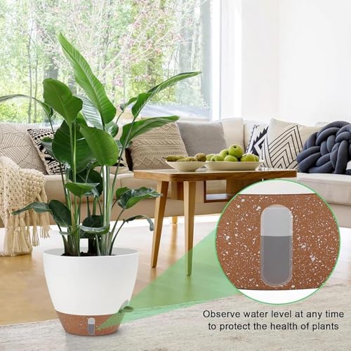 ZMTECH 9/10/12 Inch Self Watering Plant Pots with Watering Lip, Planters with Drainage Holes and Removable Saucer, Plastic Flower Pots for Indoor Outdoor Plants (3 Pack,Pure White) by ZMTECH - Image 6
