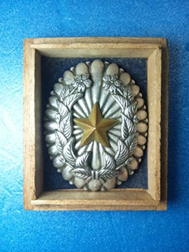 Amazon.co.jp: 尉官隊長章旧日本軍勲章 : スポーツ＆アウトドア