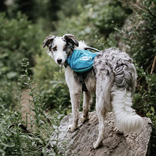 Kyjen 22005 Outward Hound DayPak Hunde-Rucksack Tasche im Satteltaschenstil, verstellbar, Größe L, blau