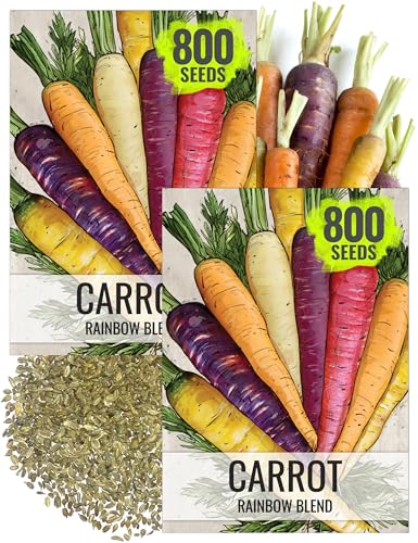 Seed Needs Rainbow Carrot Seeds for Planting Multicolor Carrots - Non-GMO Heirloom & Untreated...