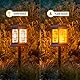 Solar Laterne für Draußen Gross LED Solarlampen With Two Working Modes Flackernde Flammen-Effekt/Warmes Licht IP65 Windlicht Outdoor,Solarleuchten für Deko (2Paket)