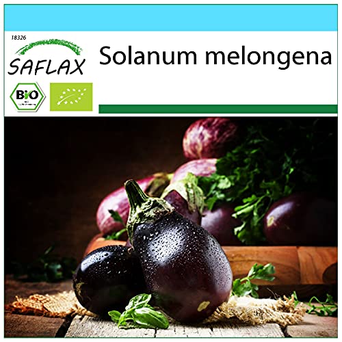 SAFLAX - Set regalo - Ecológico - Berenjena - Belleza Negra - 25 semillas - Con caja regalo/envío, etiqueta para envío, tarjeta de felicitación y sustrato de cultivo - Solanum melongena