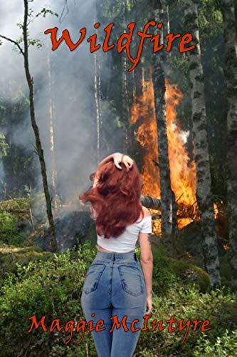 Wildfire (Behind The Camera Book 2)
