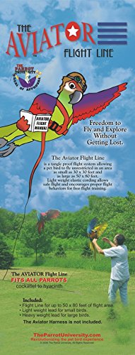 The AVIATOR Flight Line product thumbnail 6