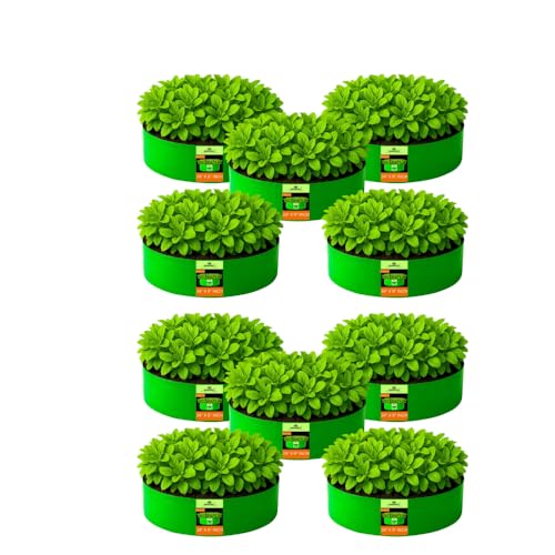 Image of Kingwell grow bags 24x9 inch pack of 10 Grow Bag For Terrace Garden Leafy Vegetable Plant Grow Bags Fruits Growing Containers For terrace Gardening