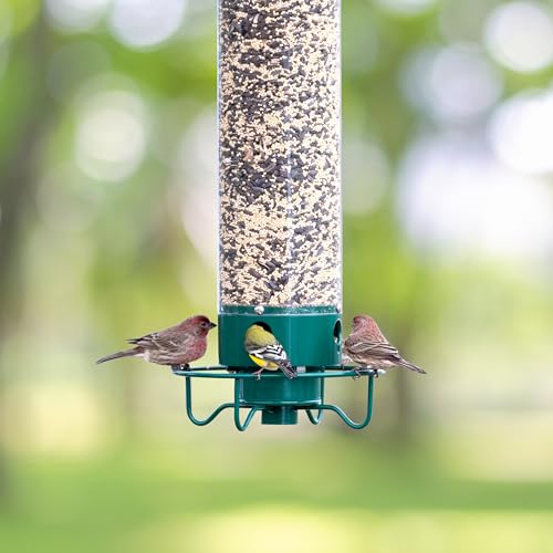 Droll Yankees Squirrel Proof Bird Feeders for Outdoors - Flipper, Collapsible Perches, 5-Pound Seed Capacity, Blue