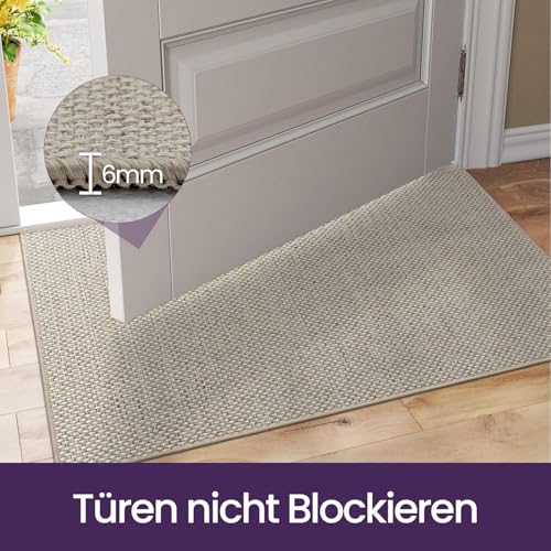 DEXI Schmutzfangmatte Innen 60 x 90 cm, rutschfest Fußmatte waschbar, absorbierend Fussmatte, Dünne Türmatte Eingangsteppich für Haustür & Flur, Beige