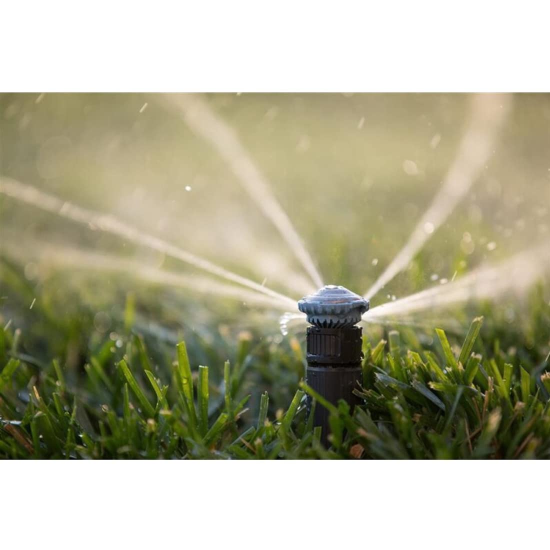 Lot de 10 buses rotatives réglables RainBird R-VAN 14 – Rain Bird Buses 45º – 270° – Cercle complet – Portée 2,4 à 4,6m – Buses pour diffuseurs/arroseur Rain Bird