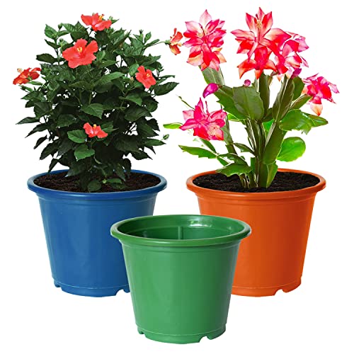 Image of Kuber Industries Durable Plastic Flower Pot|Gamla for Indoor Home Decor & Outdoor Balcony,Garden,6 inchx5 inch,Pack of 3 (Blue,Orange,Green)