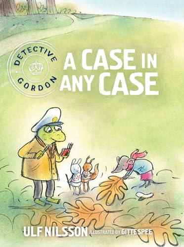 A Case in Any Case view 2
