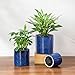 vancasso Ceramic Plant Pots, 4.25+5.25+6.25 Inch Planter Pot with Drainage Hole, Flower Pots for Indoor Outdoor Plants, Set of 3, Blue