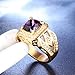 PMTIER Men's Vintage Stainless Steel Cubic Zirconia Ring Statement Engagement Wedding Bands Gold Purple Size 9