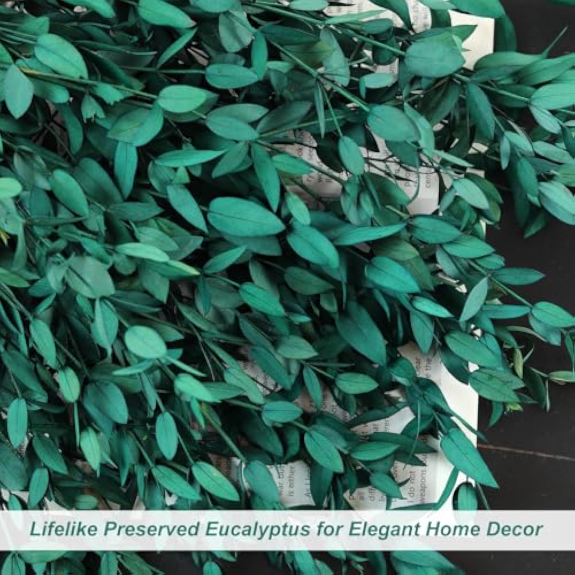 Dried Eucalyptus Leaves, 8-14 Pieces for Decor