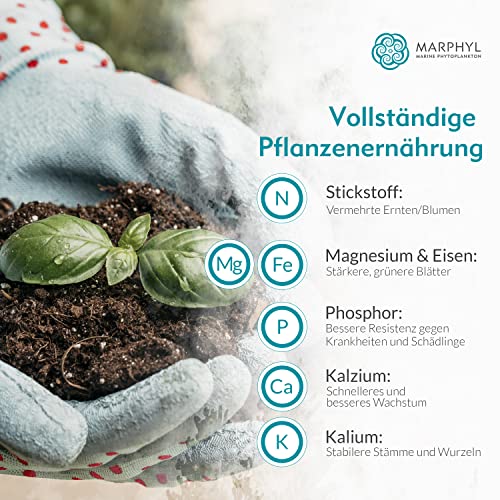 MARPHYL Marine Phytoplankton Liquid Organic Fertilizer/Soil Enhancer – Bild 4