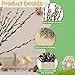 Natural Dried Pussy Willow Branches - 30PCS Real Willow Twigs for Indoor Decor, Easter Spring Arrangements, Wreath Making, and Farmhouse Home Centerpiece