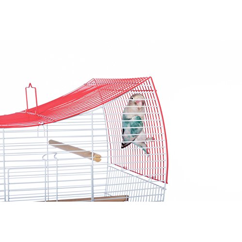 Image of Prevue Pet Products South Beach Wave Top Bird Cage, Lime Green (SP50081)