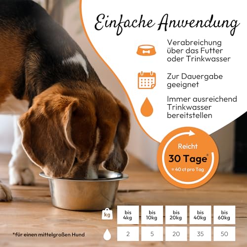 PHA NierenActiv Tropfen für Hunde & Katzen - Pflanzliche Unterstützung zur Vorbeugung von Nierenproblemen, REGT den natürlichen Harnfluss an, mit Birkenblättern, Schachtelhalmkraut & Wacholderbeeren