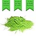 Holi Color Powder Bulk by Chameleon Colors - Green - 25 lbs. Pure, Authentic Fun - Perfect for a Color Run, 5k, Festival, Party or any Other Event You Want to Make Colorful.