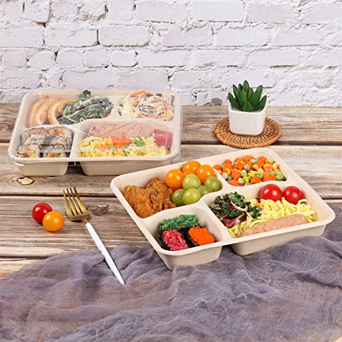 Jayeey 37 Oz 4 Compartments Disposable Plates With Lids Meal Prep Food Storage Deli Container Eco-Friendly Sugarcane Fiber Biodegradable Food Container Microwave & Freezer Safe 25 Pack #TOP5