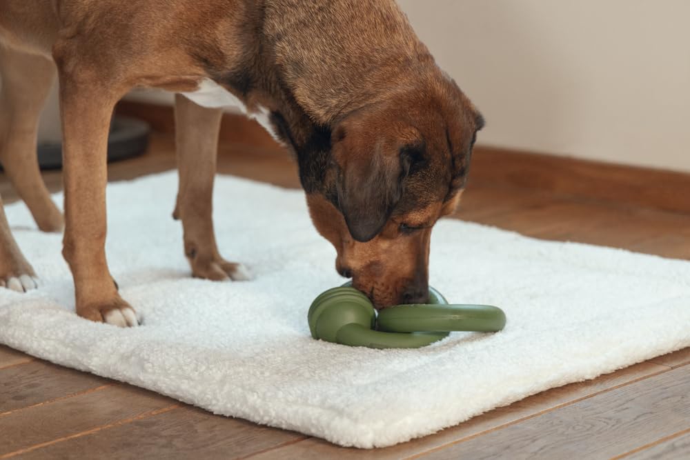 Beeztees Sumo Team Jouet pour Chien Vert 24 x 15 x 7,5 cm