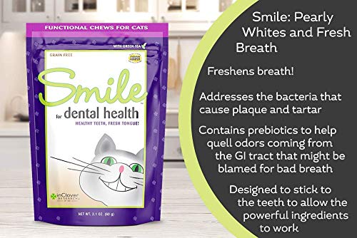 Inclover Optagest Daily Digestive Immune Support For Dogs And Cats (10.5 Oz) & Smile Daily Dental Health Soft Chews For Cats (10.5 Oz) #TOP6