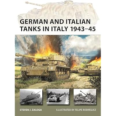 German and Italian Tanks in Italy 1943&ndash;45: 344