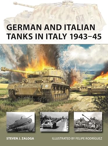 German and Italian Tanks in Italy 1943–45: 344 (New Vanguard)
