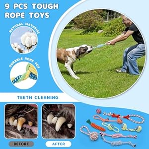 Puppy Chew Toys for Teething, 26 Pack Dog Chew Toys Puppy Teething Toys, Interactive Dog Rope Toys with Bin, Dog Toys for Small & Medium Dogs