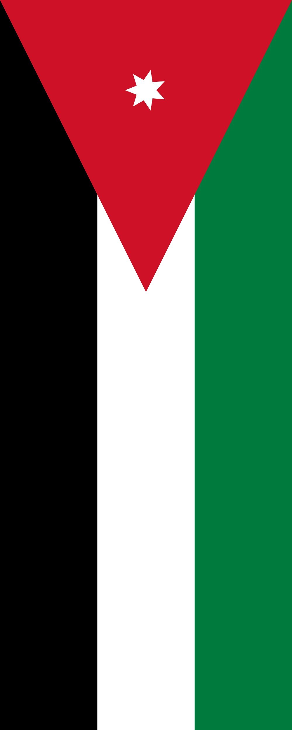 Drapeau Jordanie haut de gamme 3.5m² au format portrait 300x120cm durable
