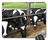 Gaming Mauspad, Rinderzucht Kühe Schwarz Weiß Muster Tiere Rutschfest Mauspads Modernes Computer-Mauspad Für Tastatur Computer Büro 25X30Cm