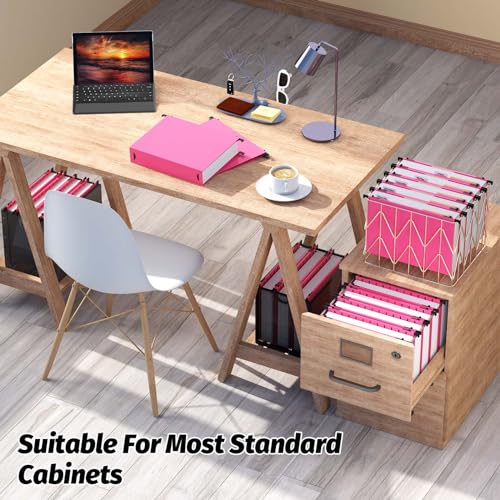 Dossiers suspendus plastique SHUTEX pour ranger vos graphiques