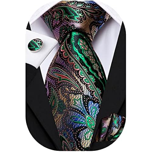 Hi-Tie Paisley Floral Ties Set for Men Silk Mens Stripes Necktie Pocket Square Cufflinks Set Formal Business