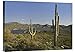 Global Gallery Budget GCS-396132-1824-142 Tim Fitzharris Saguaro Cactus at Bartlett Lake Arizona Gallery Wrap Giclee on Canvas Wall Art Print