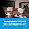 Best Keyboard Amplifiers : make your piano playing experience inspiring 35 Carry-on Mini Speaker - Amplifier for Electronic Guitars and Drums, Keyboards, Digital Wind Instruments and Microphones - Portable Speaker with Dual Input Channels & Expandable Stereo Option #1