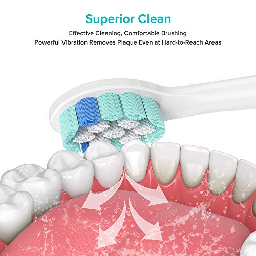 Replacement Toothbrush Heads for Sonicare,14 Pack ALPRANG Replacement Brush Heads Compatible with Philips Sonicare Electric Toothbrush