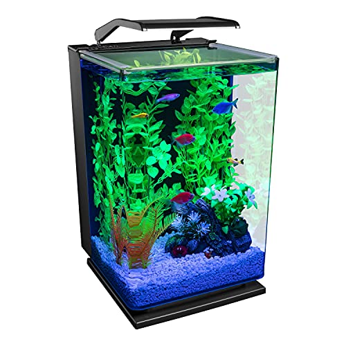 GloFish Desktop Aquarium Kit - 5 Gallon