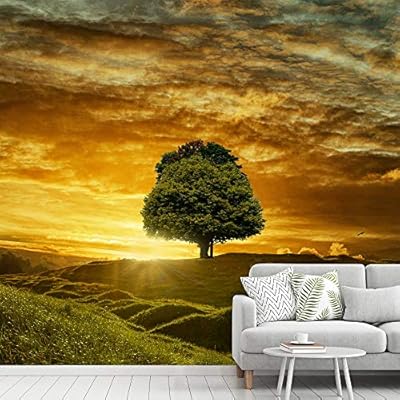 signwin Wall Mural Green Trees and Sunset Removable...