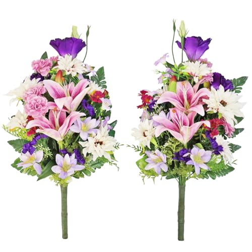 Rv   _AƂ݂FgRLLẺԑ 52cm CTG}(LEh)H VNt[ ފ ~ d     ފ ~  btb