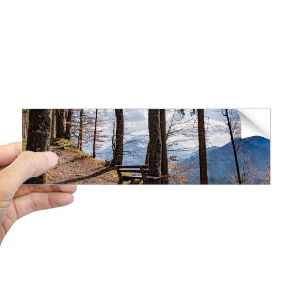 Sticker fenêtre forêt rectangulaire pour bloquer le vis-à-vis avec élégance